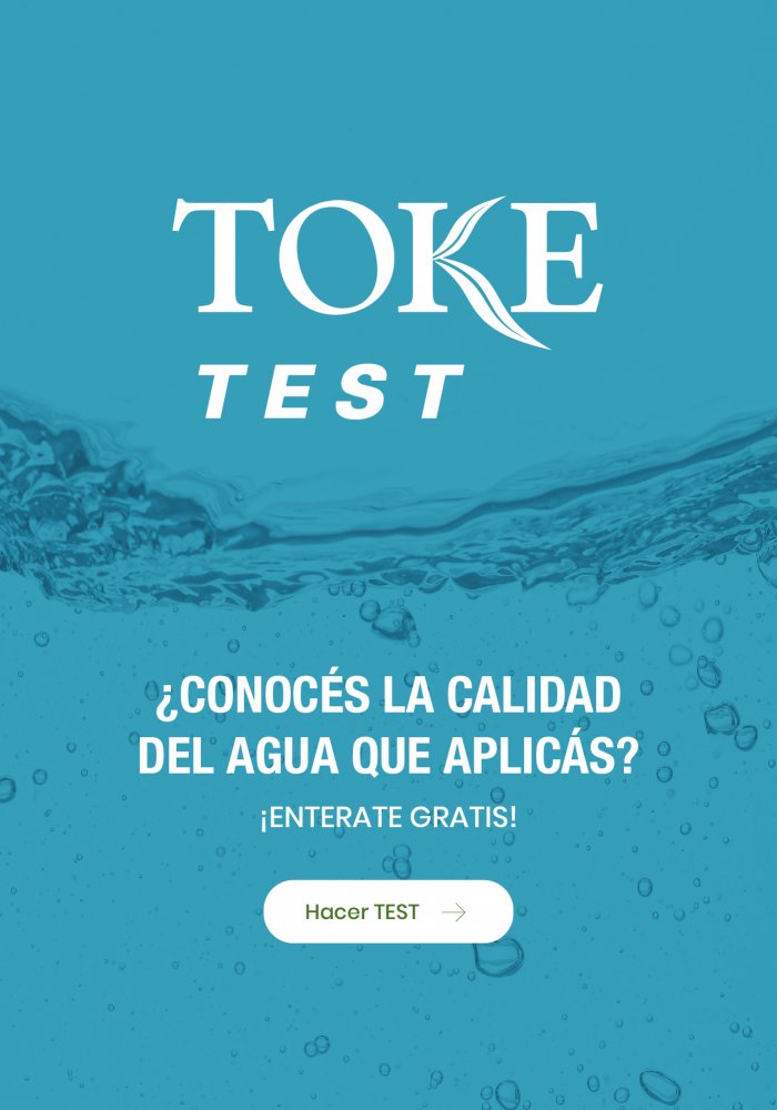 Test Toke Plus